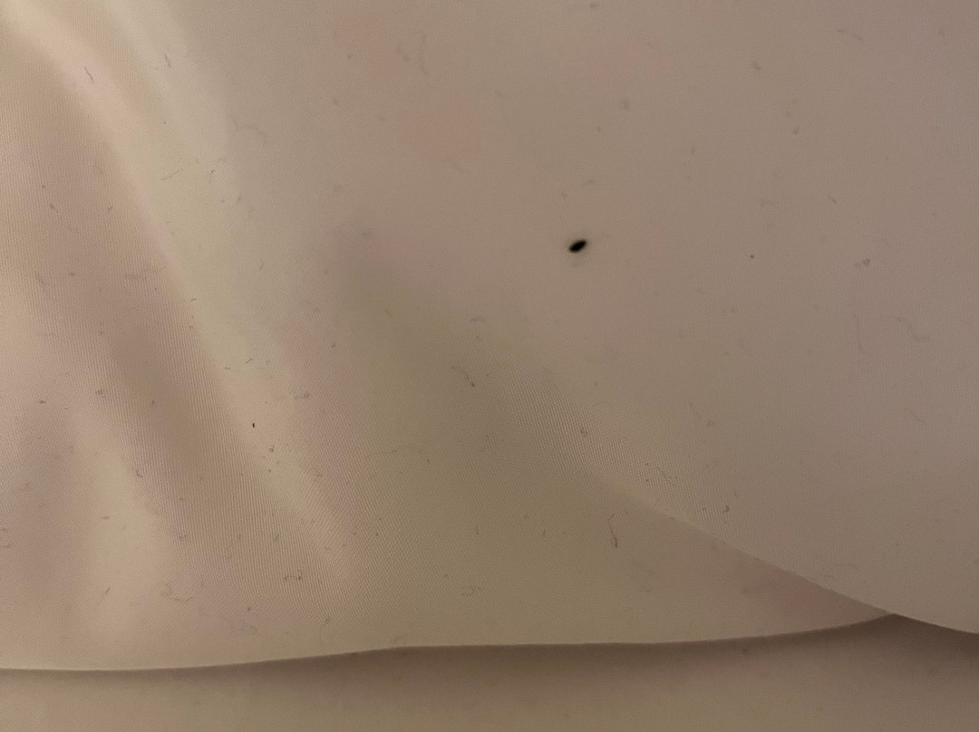 My Place Hotel - Kansas City / Independence, MO主图