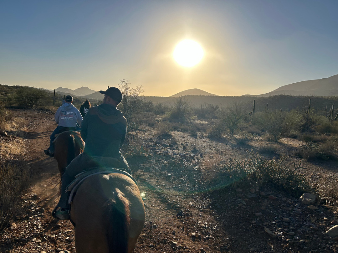 Arizona Horseback Adventures at Spur Cross-洞溪必去景点