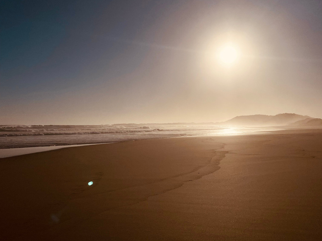 Oyster Bay Lodge主图