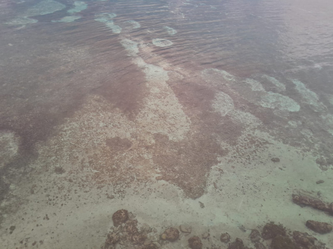 Decameron Aquarium主图