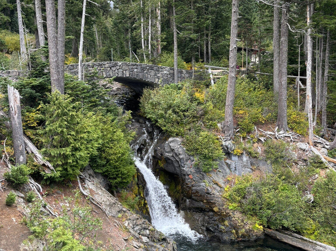 Mount Rainier National Park景点图片