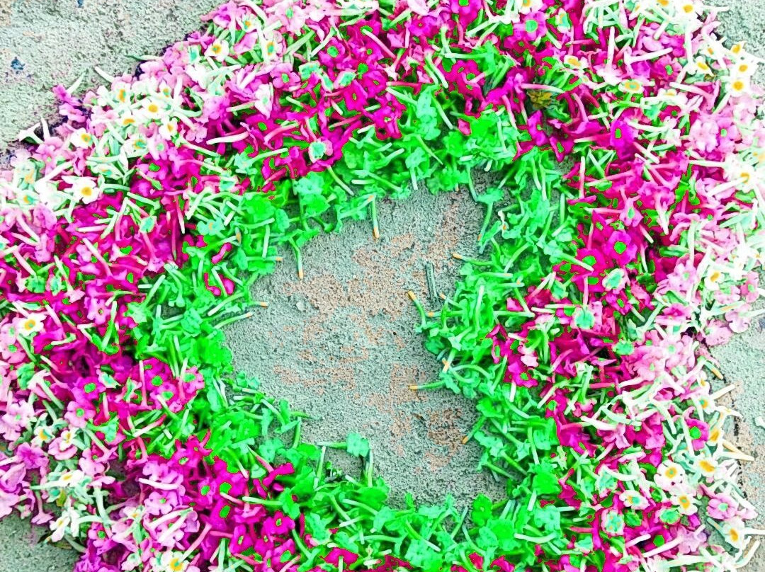 Rajwada Taxi Udaipur-乌代布尔必去景点