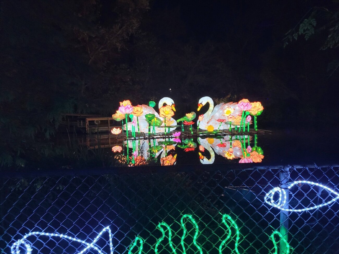 Little Rock Zoo-小石城必去景点