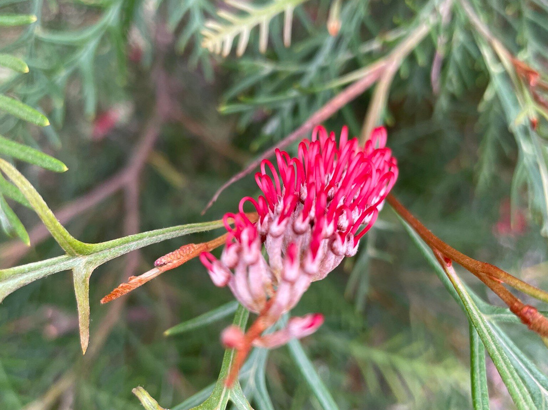 St Andrew's Uniting Church-Riddells Creek必去景点