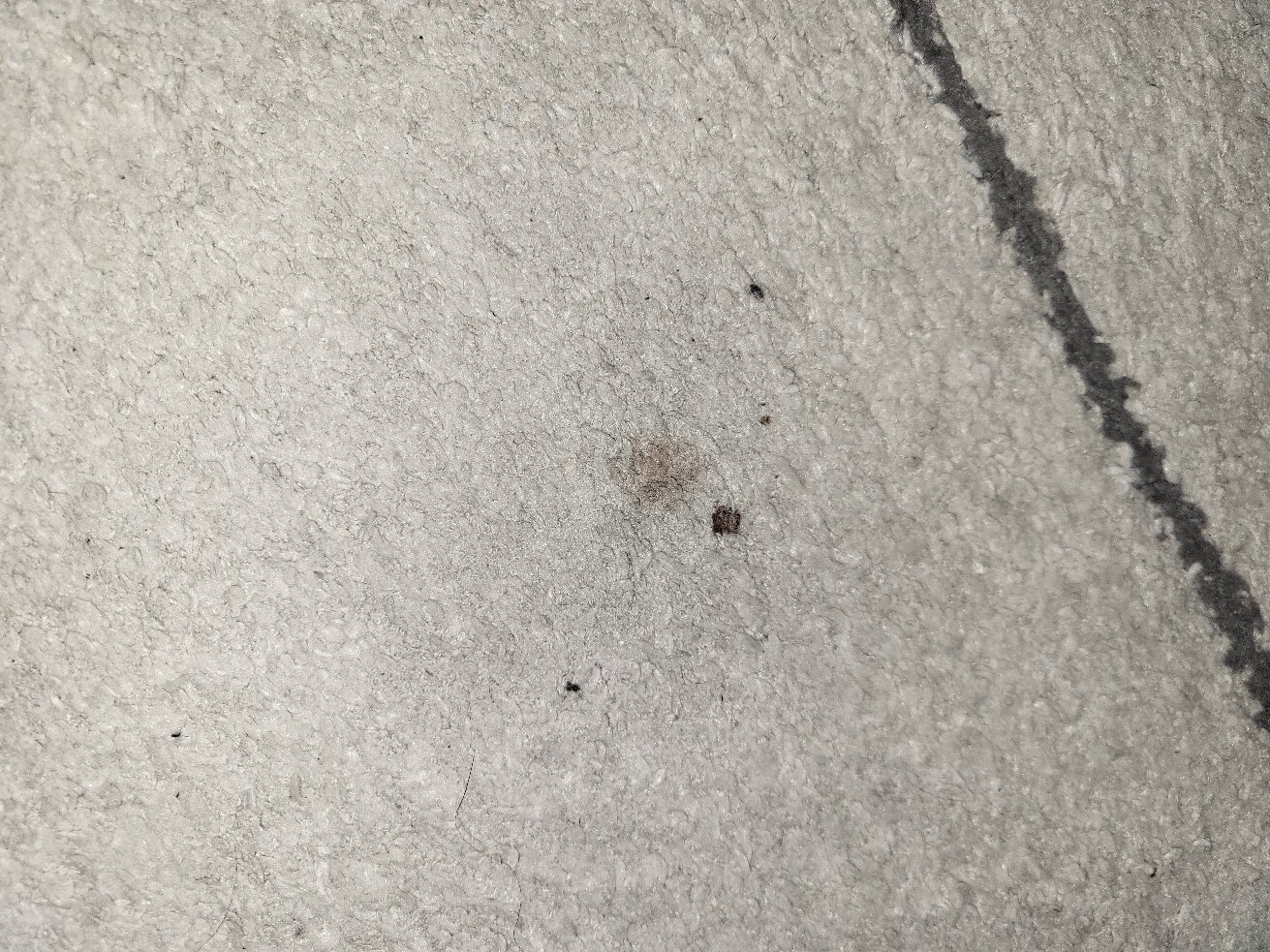 Hotel Münster Kongresscenter Affiliated by Meliá-官方