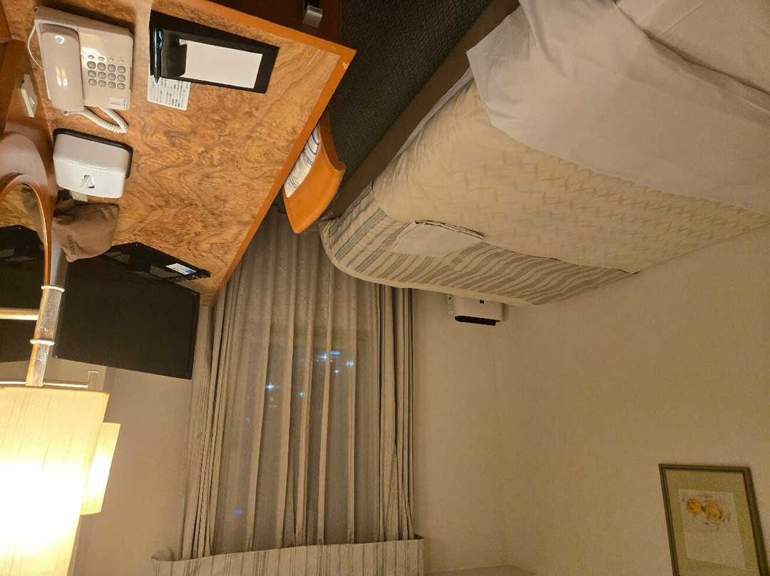 Iwakuni City View Hotel主图