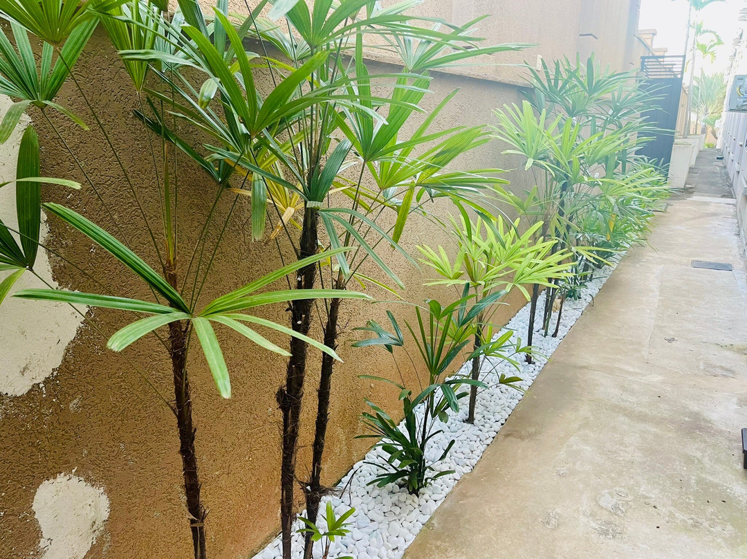 Class Hotel Varginha主图