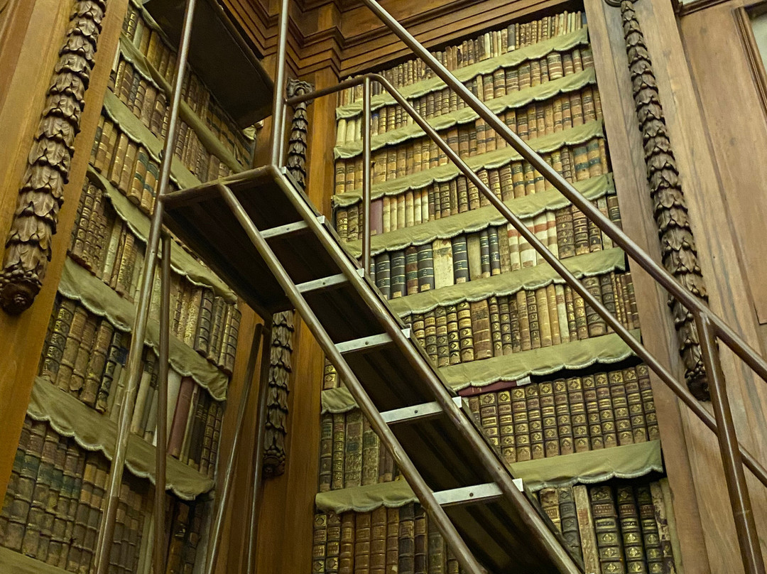 Biblioteca Palatina景点图片
