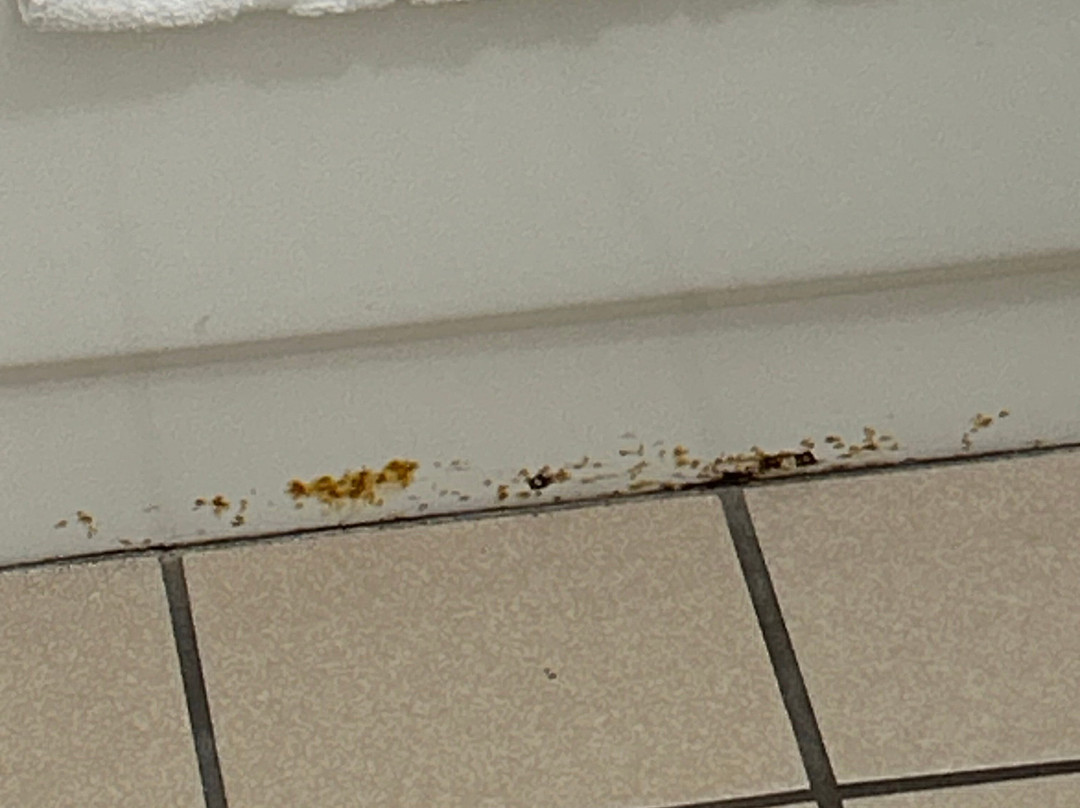 Best Western The Oasis At Joplin主图