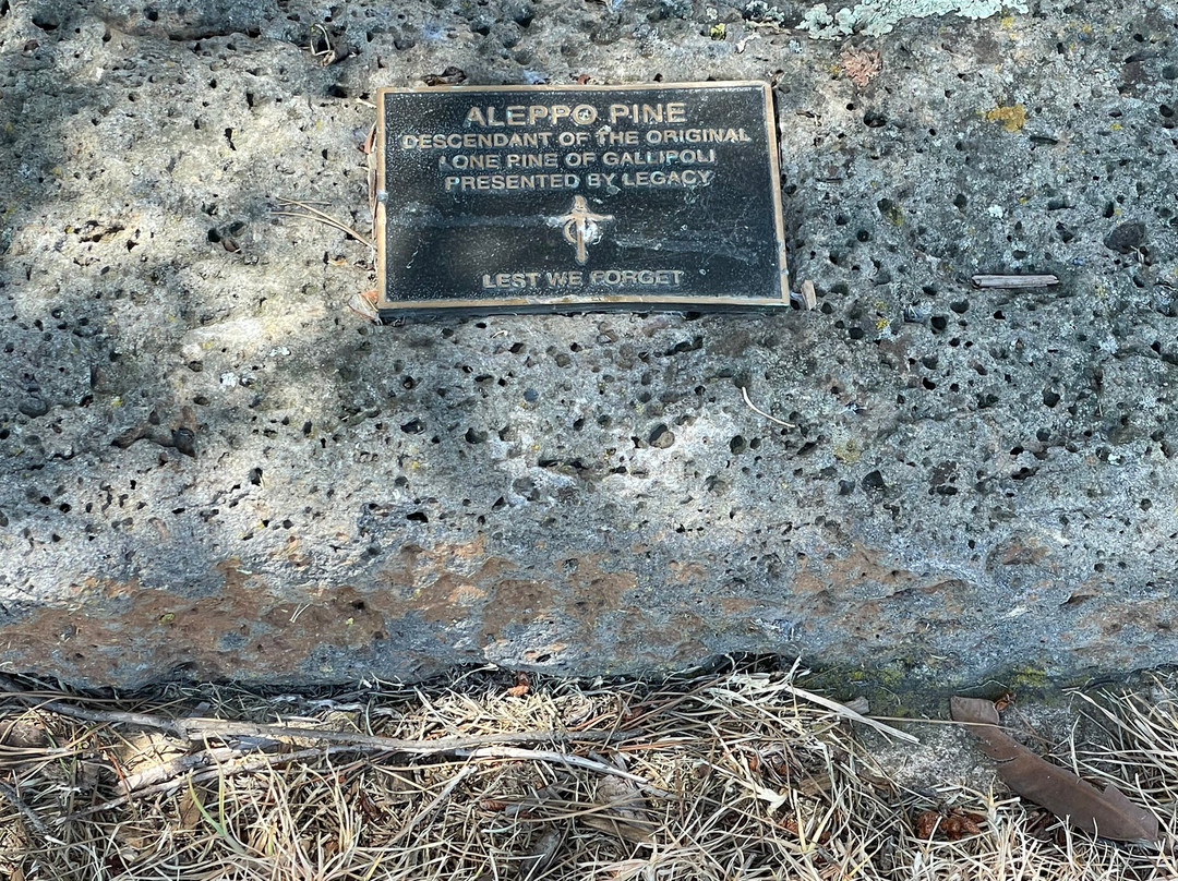 Portarlington War Memorial-Portarlington必去景点