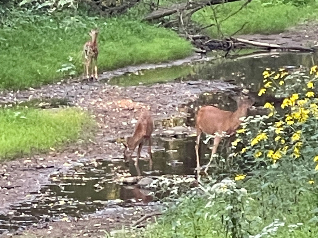 Humiston Woods Nature Center-Pontiac必去景点