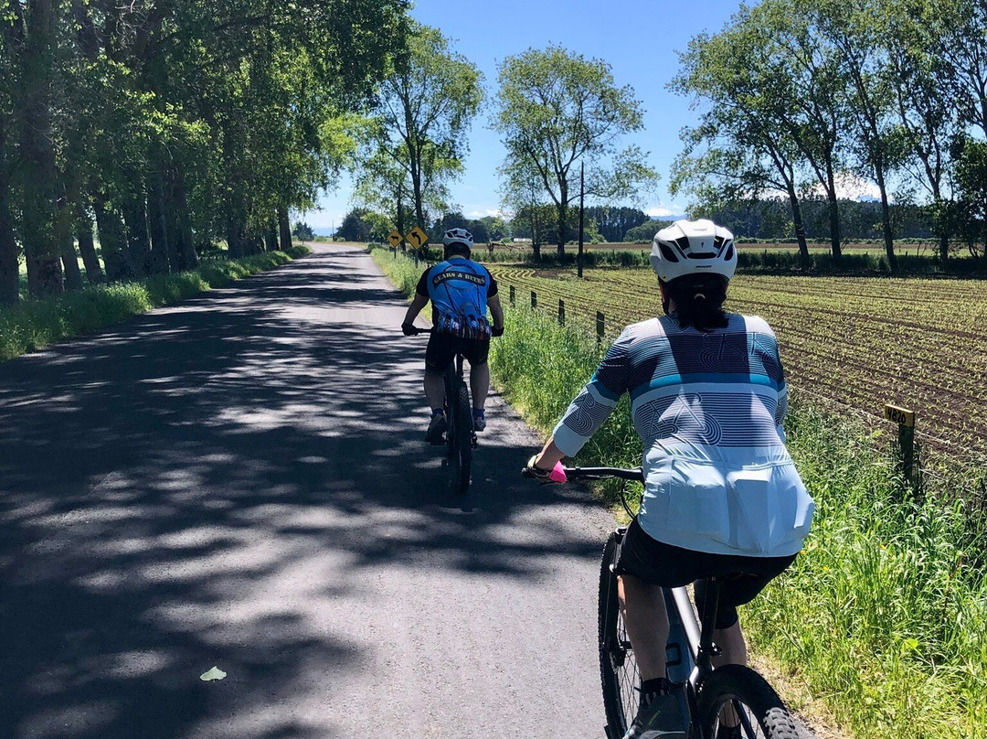 Rueda Chile-Ensenada必去景点