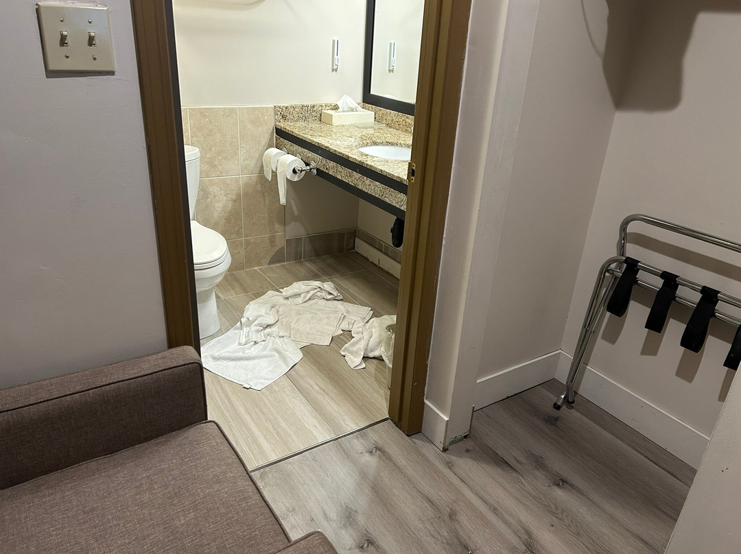 枫树岭贝斯特韦斯特酒店主图