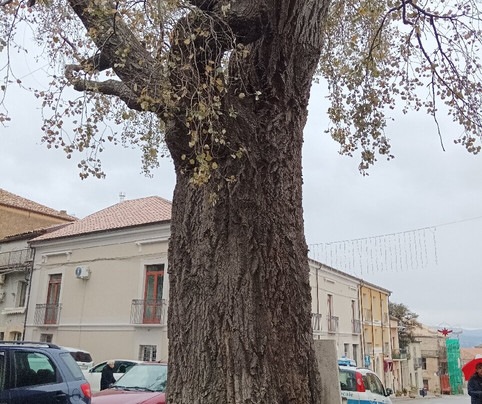 Centro Storico Di Cortale-Cortale必去景点