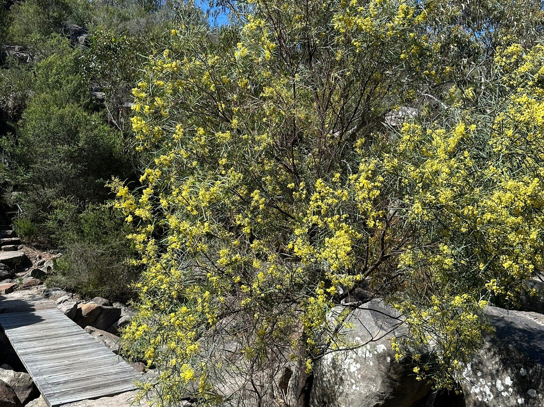 Wonderland Loop Hike-贺思盖必去景点