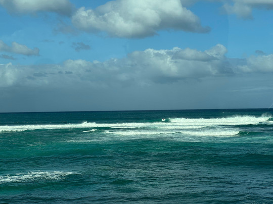 Royal Star Hawaii Deluxe Tours-火奴鲁鲁必去景点