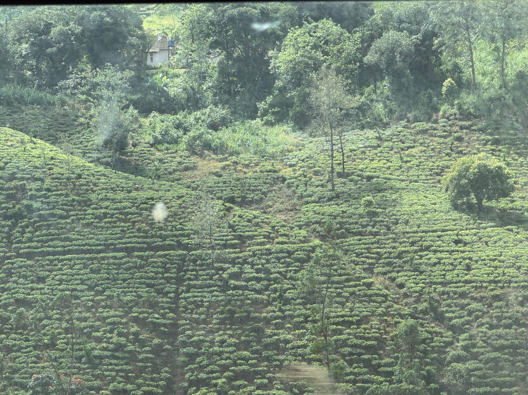 Kandy To Ella Train景点图片