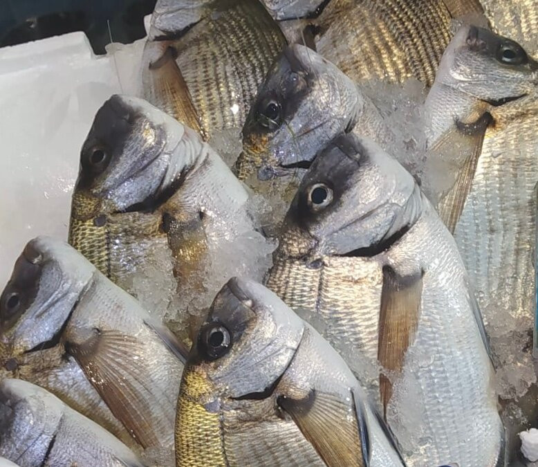 Mercato Del Pesce - Mogliano Veneto景点图片