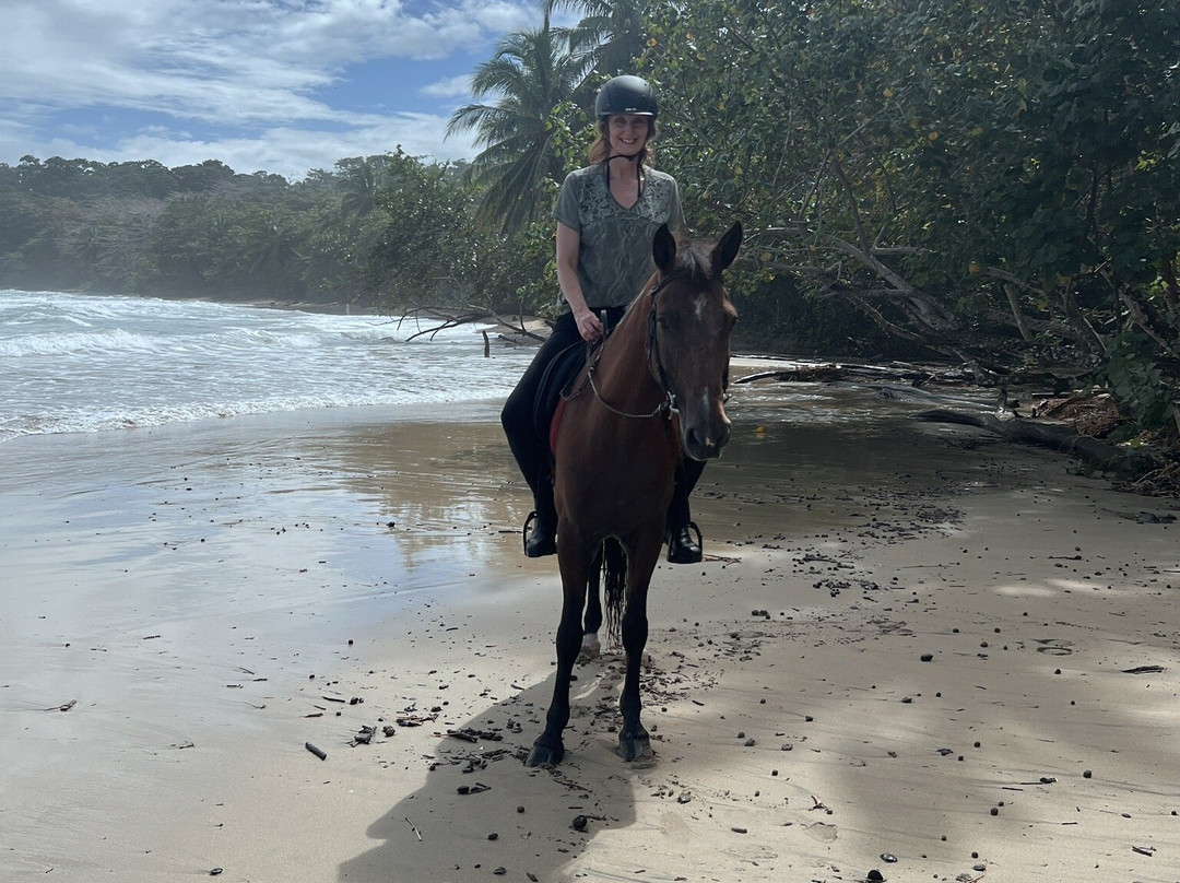 Caribe Horse Riding Club景点图片
