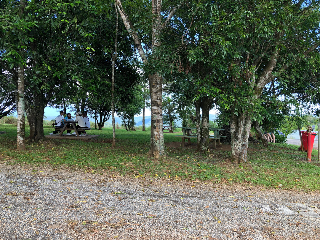 Mungalli Creek Dairy Farm-Millaa Millaa必去景点