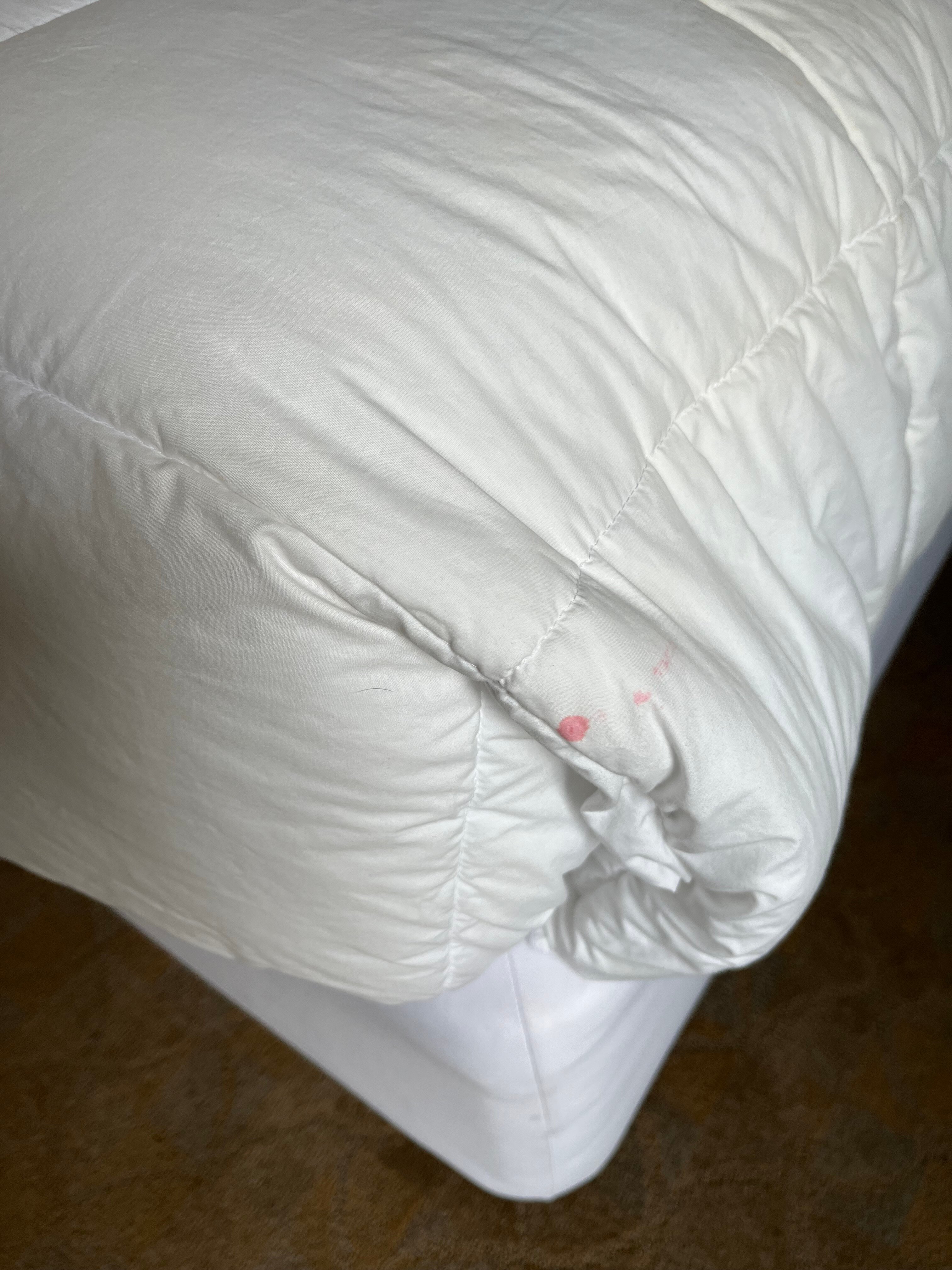 The Gin Hotel, Ascend Hotel Collection-官方