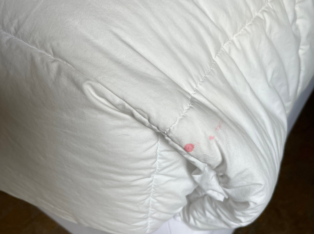 The Gin Hotel, Ascend Hotel Collection主图