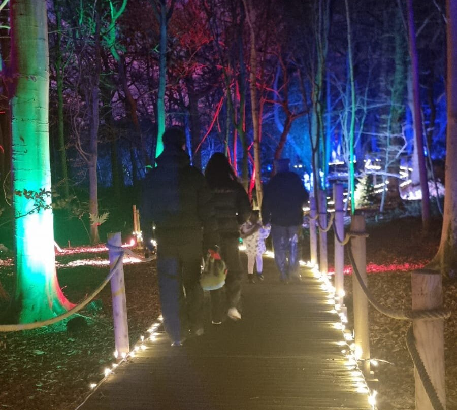 Bewilderwood Norfolk景点图片