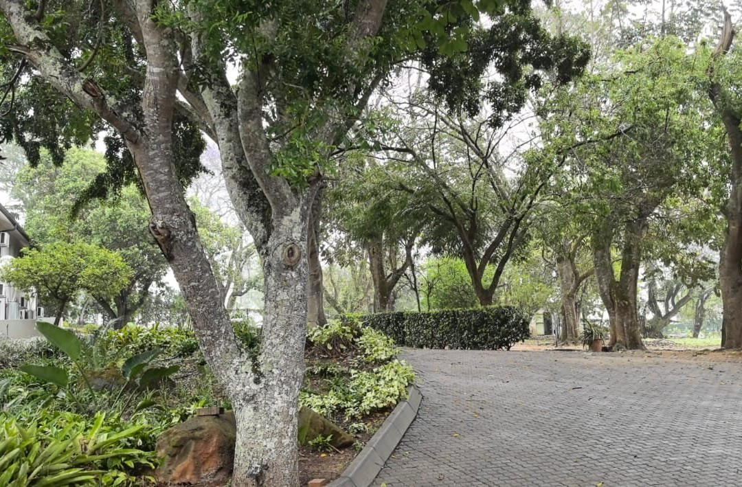 ANEW Resort Hazyview Kruger Park主图