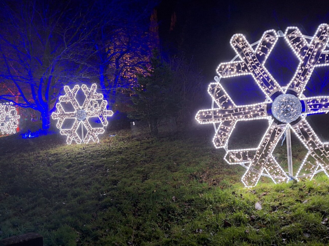 Bedgebury National Pinetum And Forest-Goudhurst必去景点