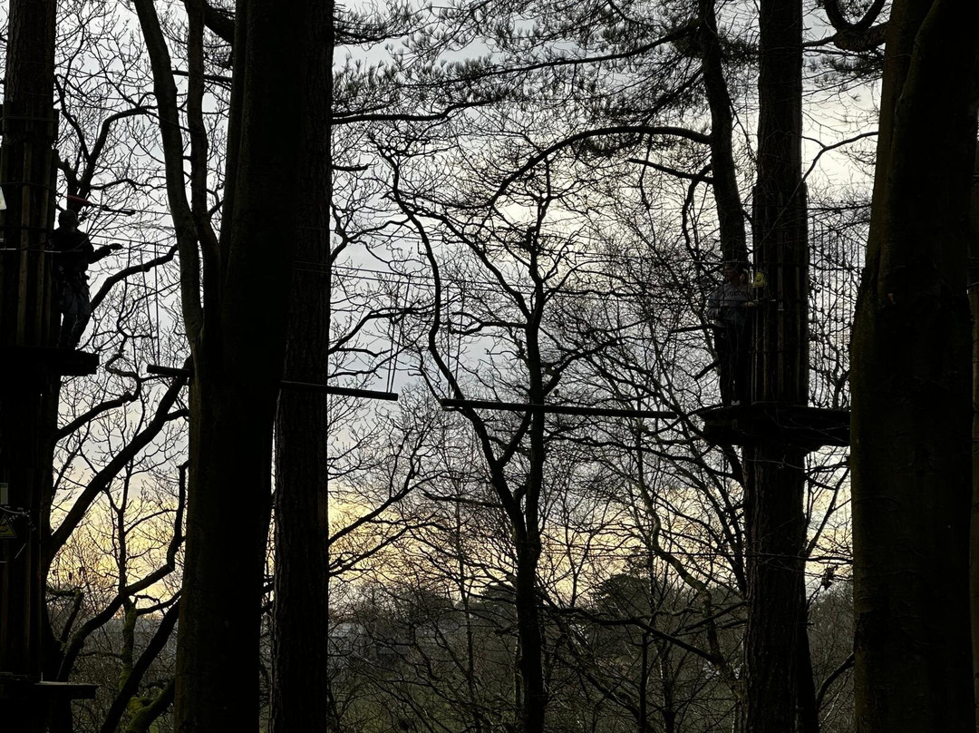 Go Ape Rivington-博尔顿必去景点