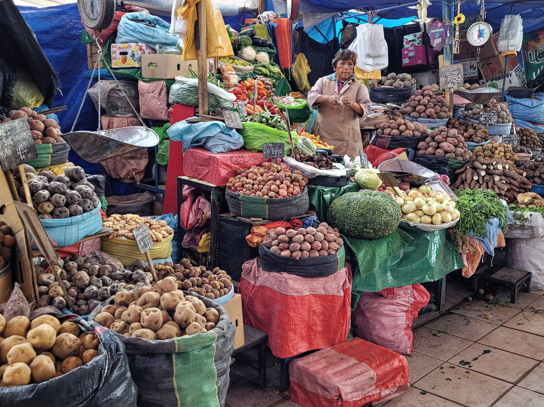 Mercado San Camilo-阿雷基帕必去景点
