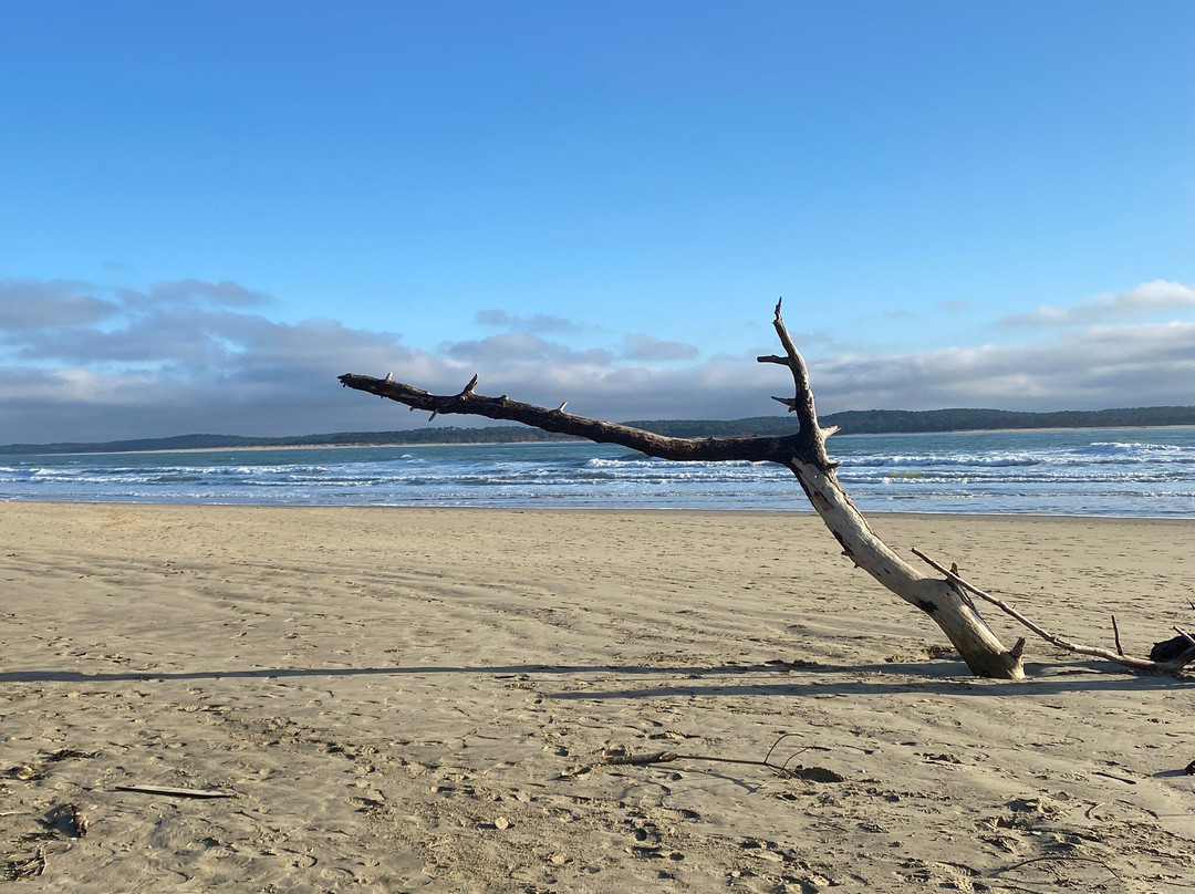 Plage de Gatseau景点图片