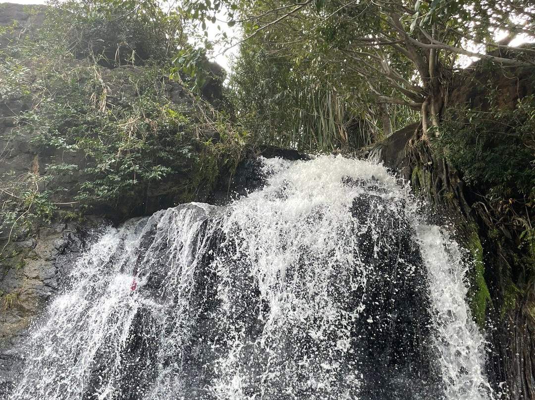 Agasthiyar Falls景点图片
