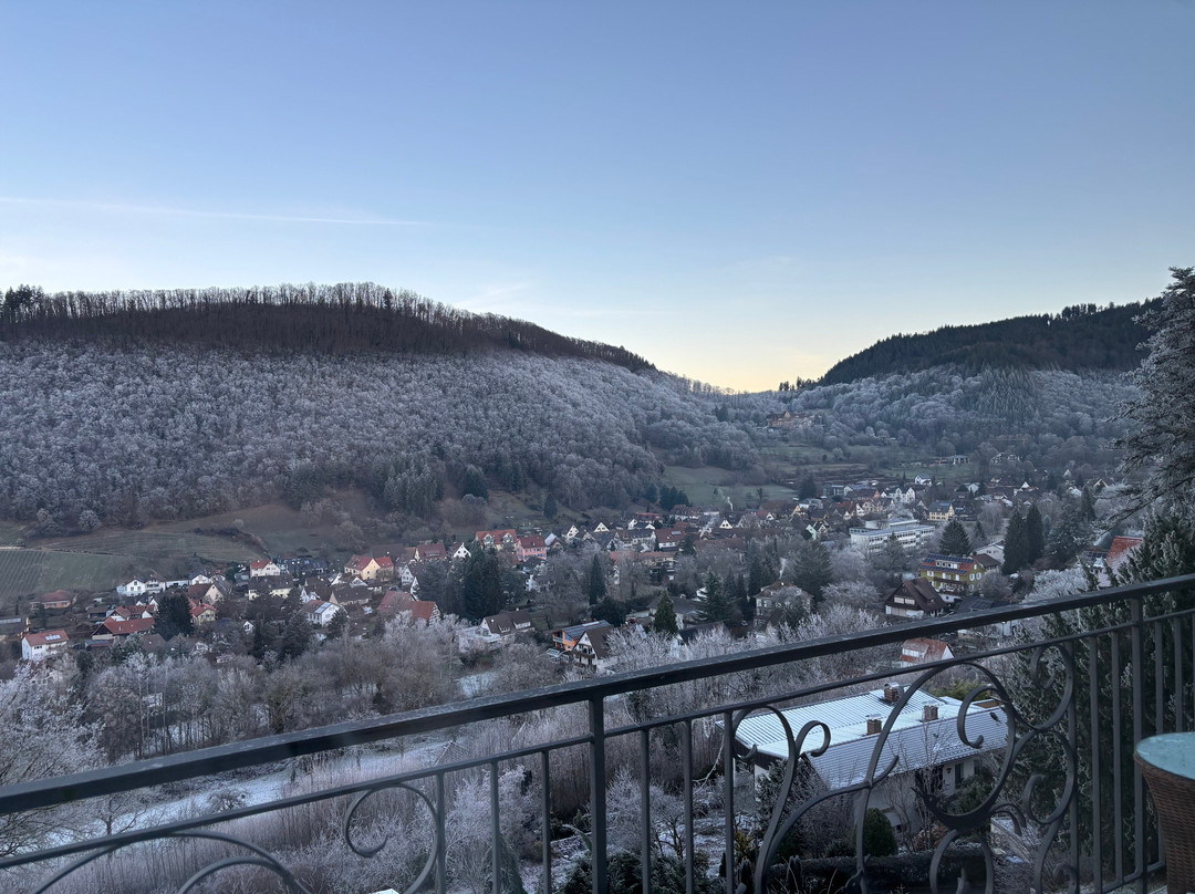 Hotel Schlossberg主图