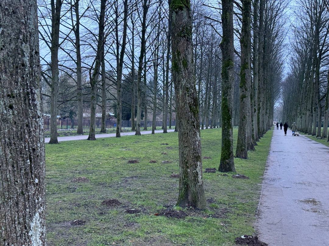 Französischer Garten-策勒县必去景点
