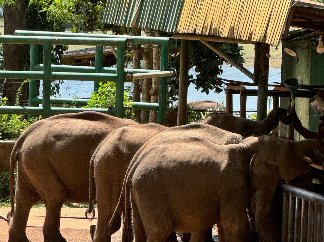Premium Tours Sri Lanka景点图片