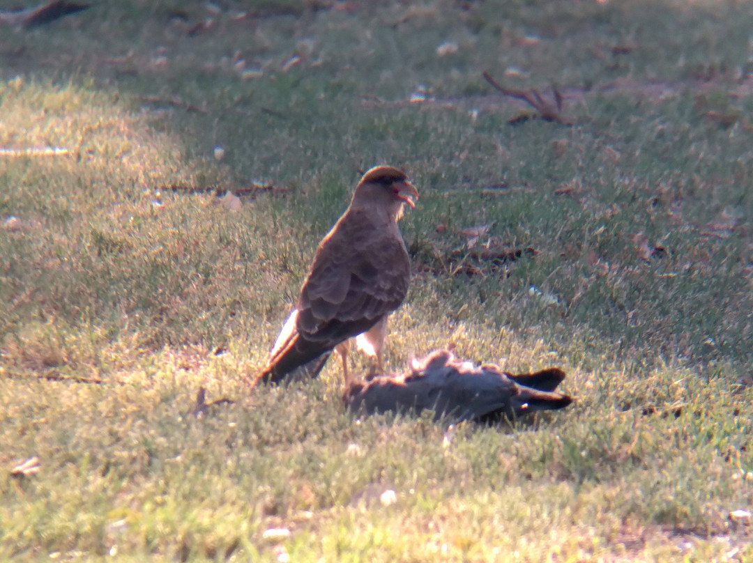 Parque de Mayo-Bahia Blanca必去景点