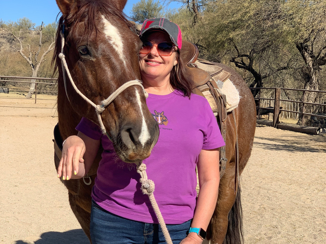 Arizona Horse Company-Wickenburg必去景点