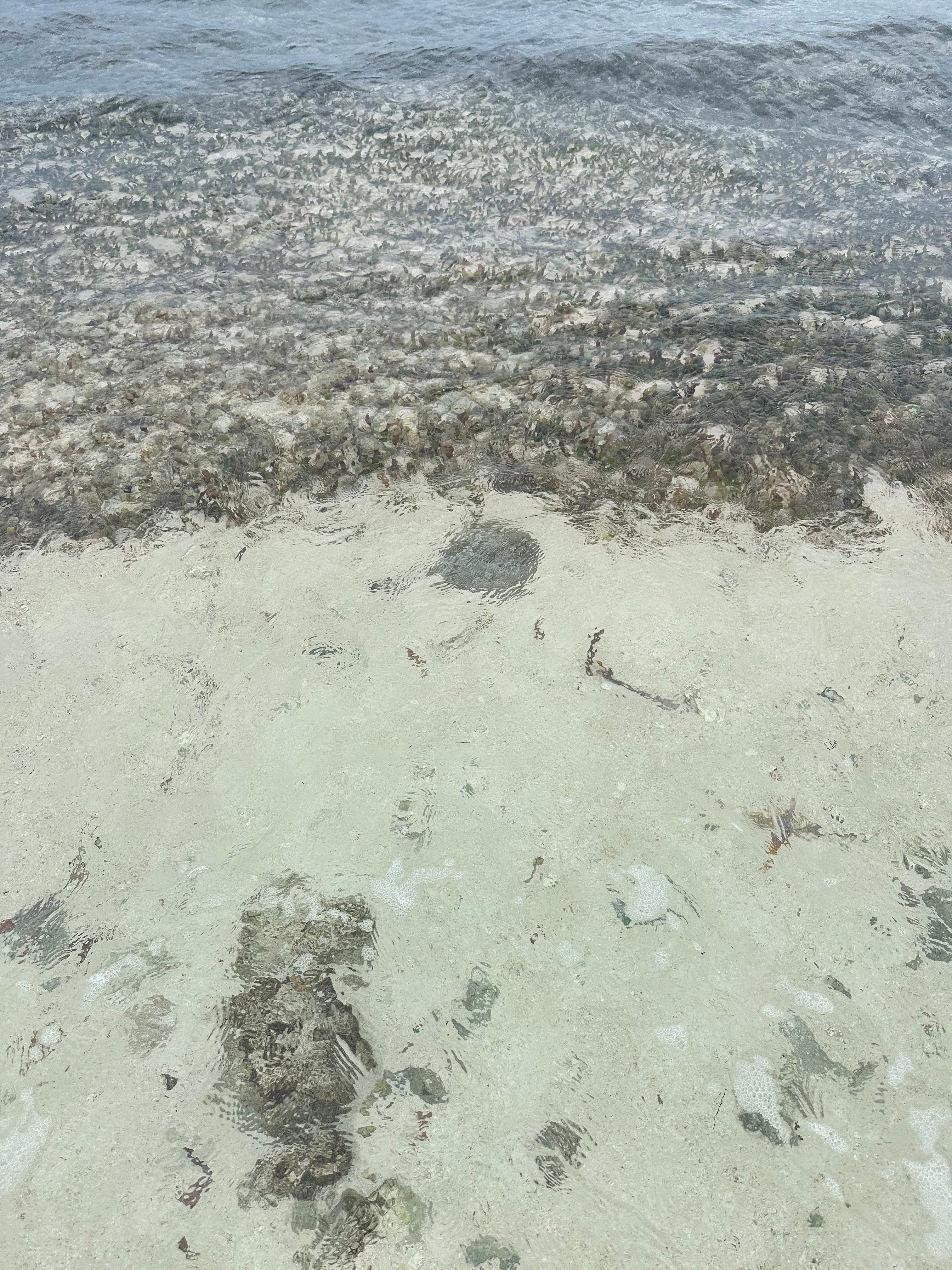 Turtle Nest Inn-泳池