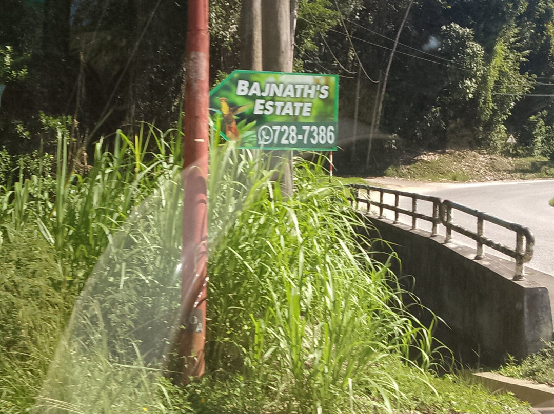 Bajnath's Estate Hummingbird Sanctuary-Matura必去景点