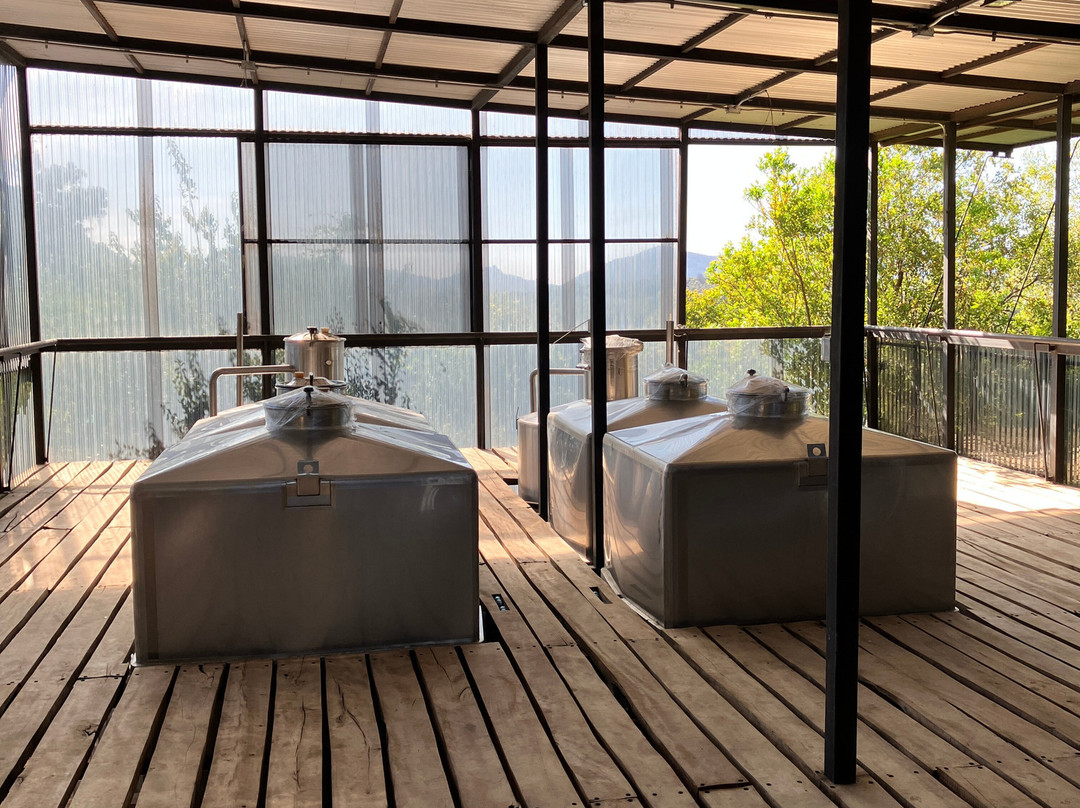 Experiencia Laberinto-Colbun必去景点