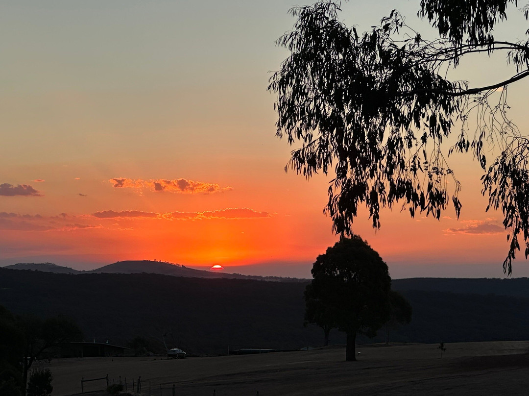 Clifftop At Hepburn主图