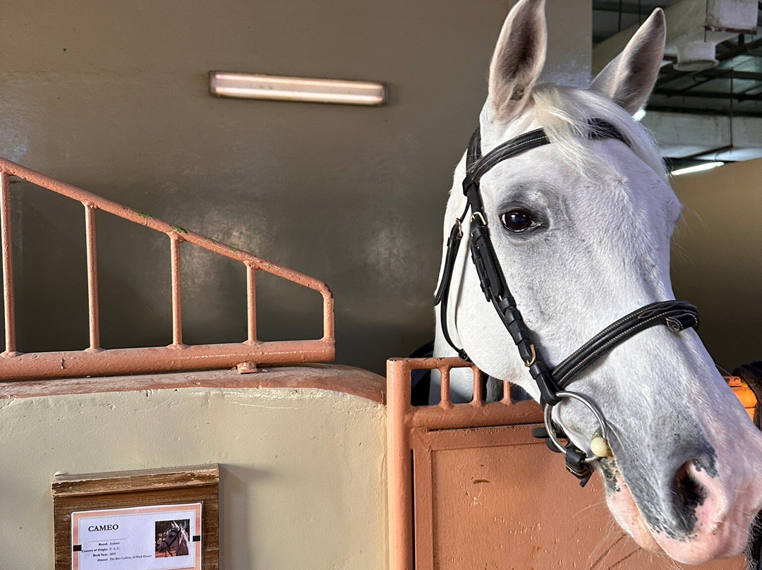 Equestrian Center at Al Wadi Desert-哈伊马角必去景点