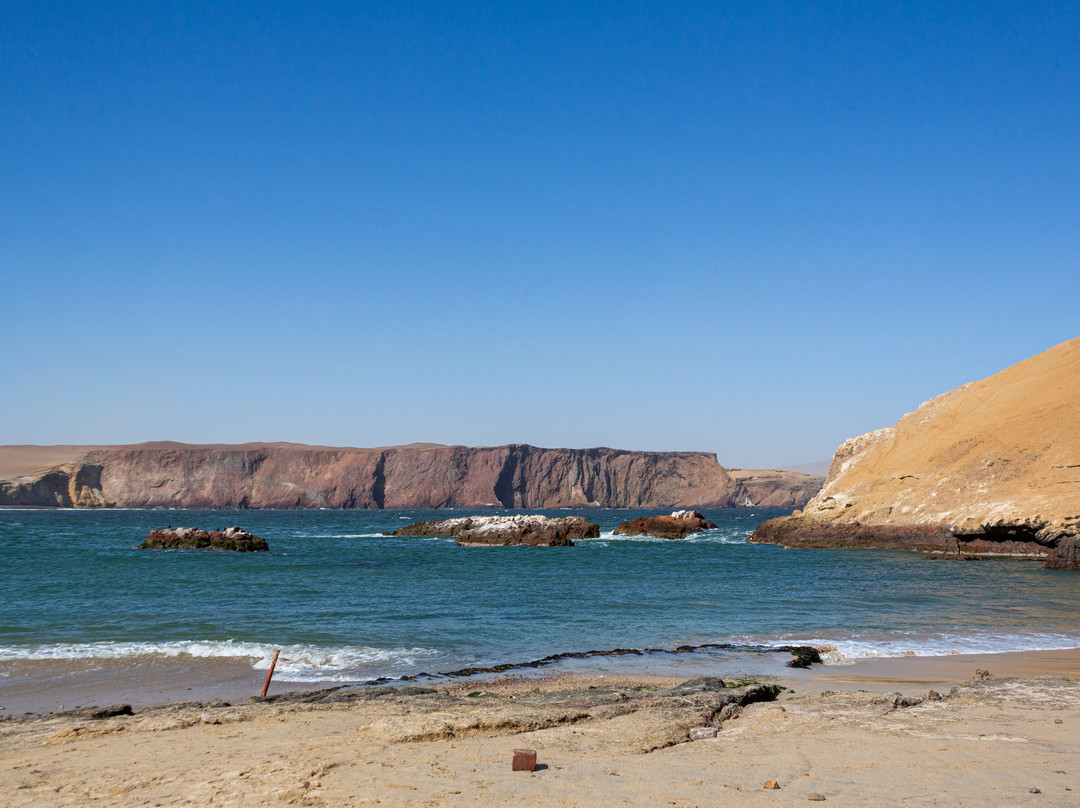 Playa La Mina Pisco景点图片