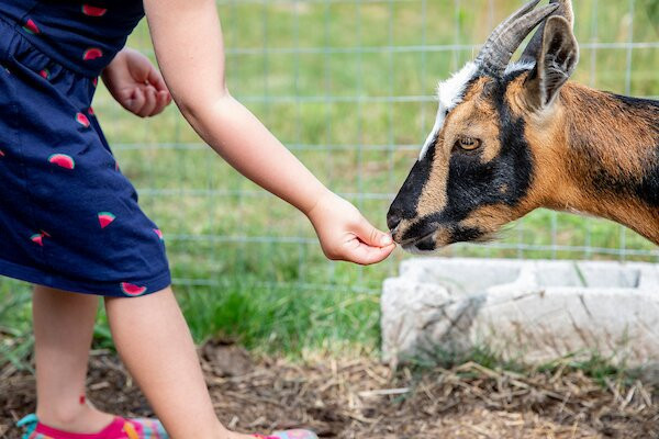 Sesuit Harbor House主图