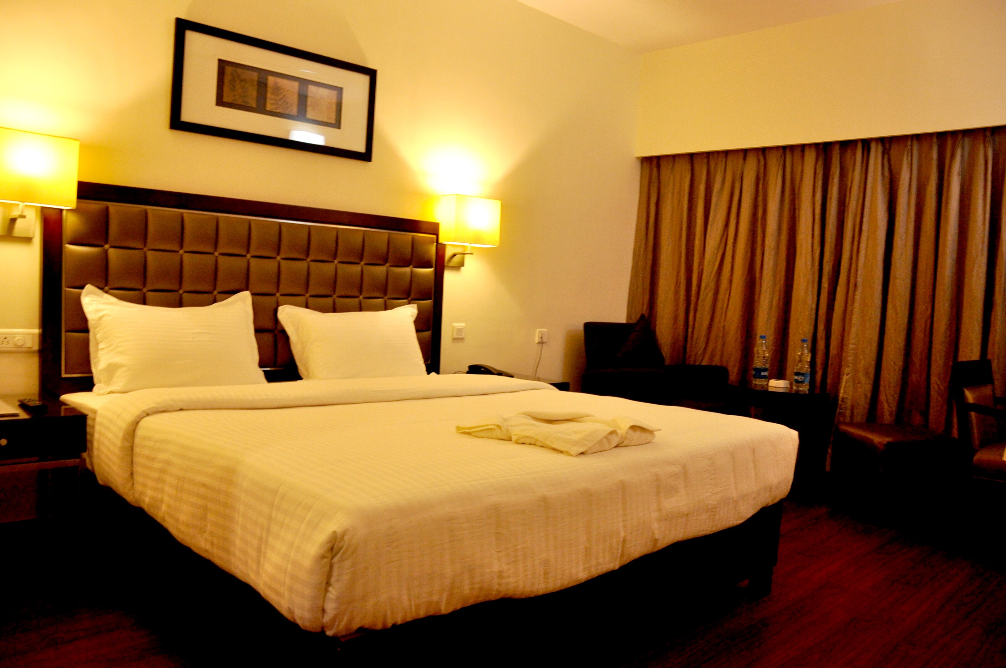 The Regency Hotel-客卧