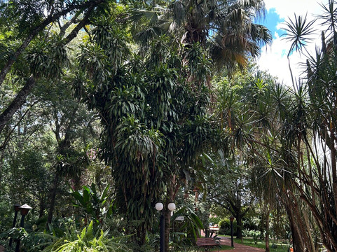 帕比隆餐厅酒店主图