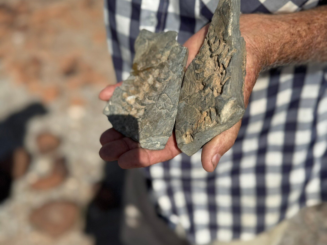 Mesosaurus Fossil Site-Keetmanshoop必去景点