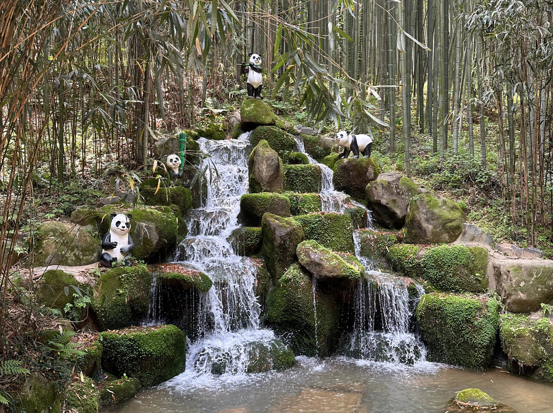 Damyang Juknokwon-潭阳郡必去景点