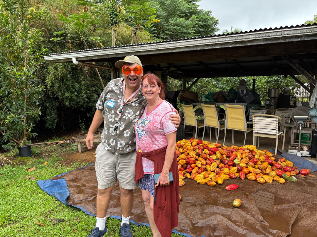 Hilo Shark Tours景点图片